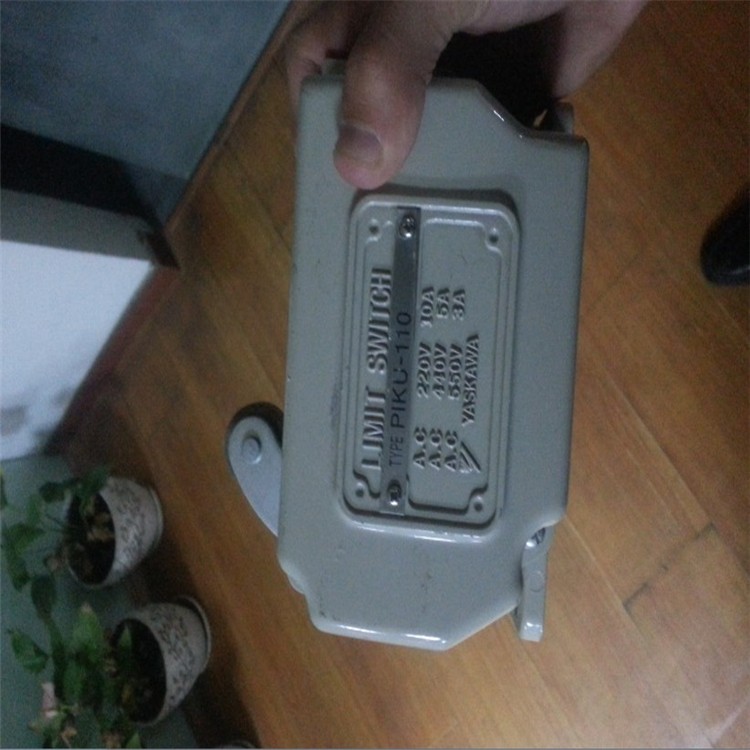 piku-110 (3).jpg